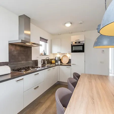 Villa In Limburg With Gourmet Kitchen Roggel